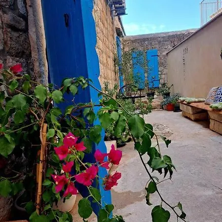 Daire Blue Shutter Garden Komiža